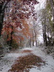 October snow scene
